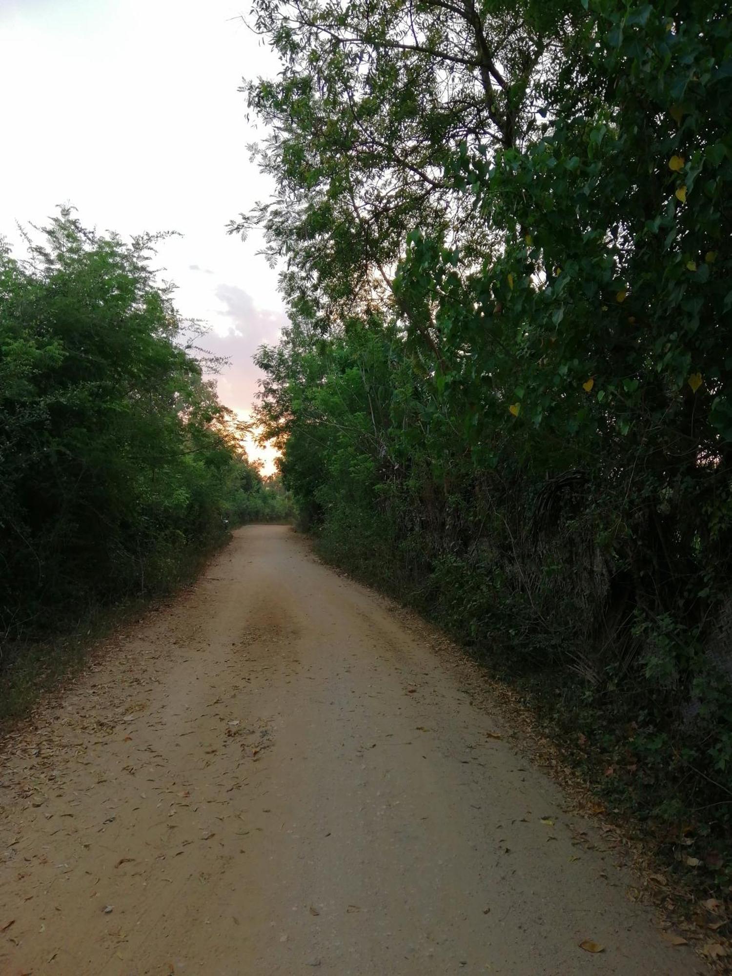 טיסמהרמה Breezy Lake מראה חיצוני תמונה