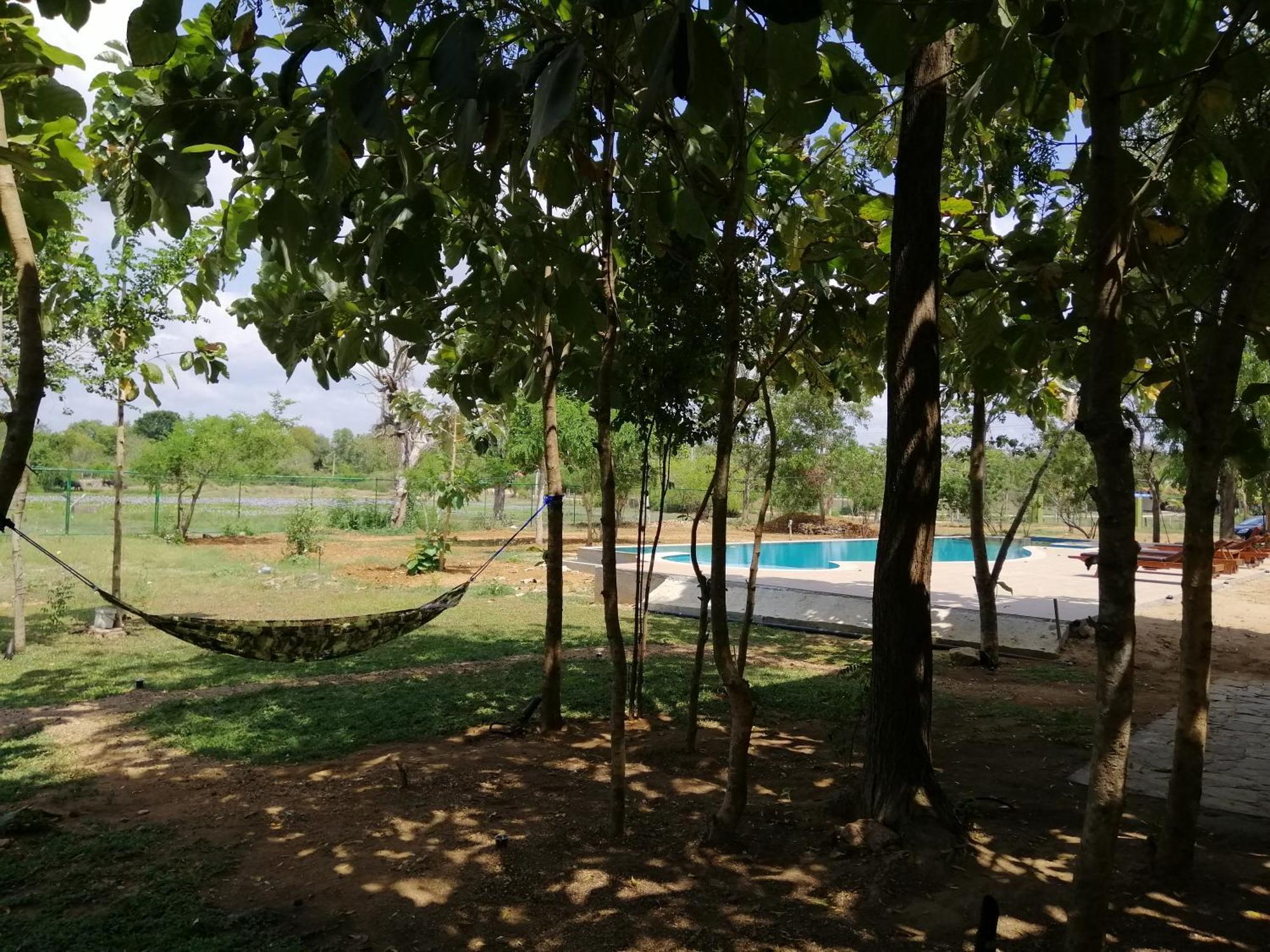 טיסמהרמה Breezy Lake מראה חיצוני תמונה