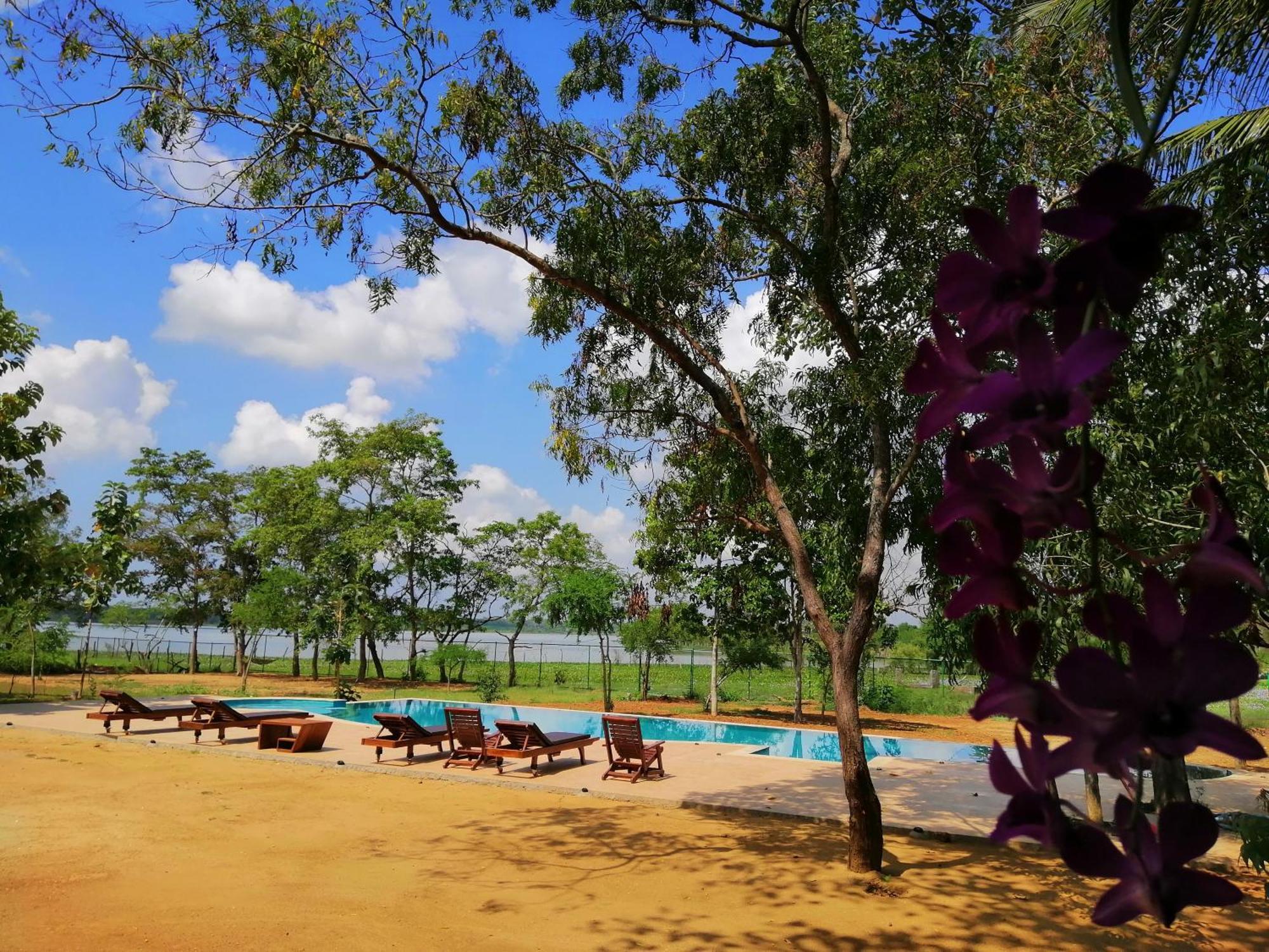 טיסמהרמה Breezy Lake מראה חיצוני תמונה
