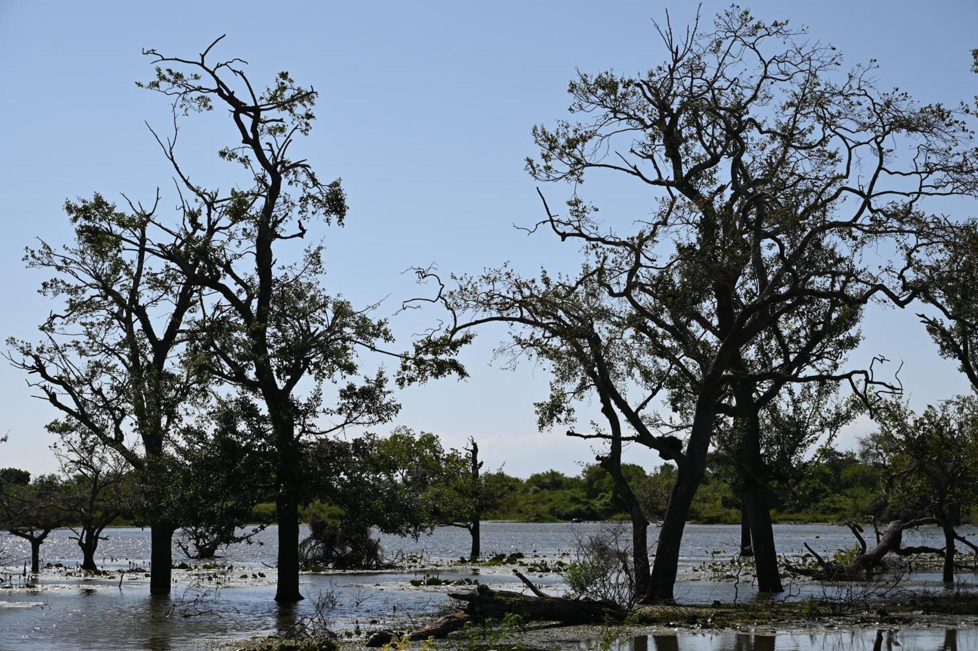 טיסמהרמה Breezy Lake מראה חיצוני תמונה