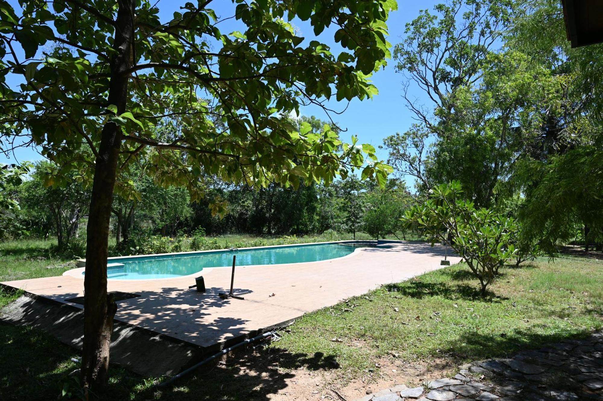 טיסמהרמה Breezy Lake מראה חיצוני תמונה