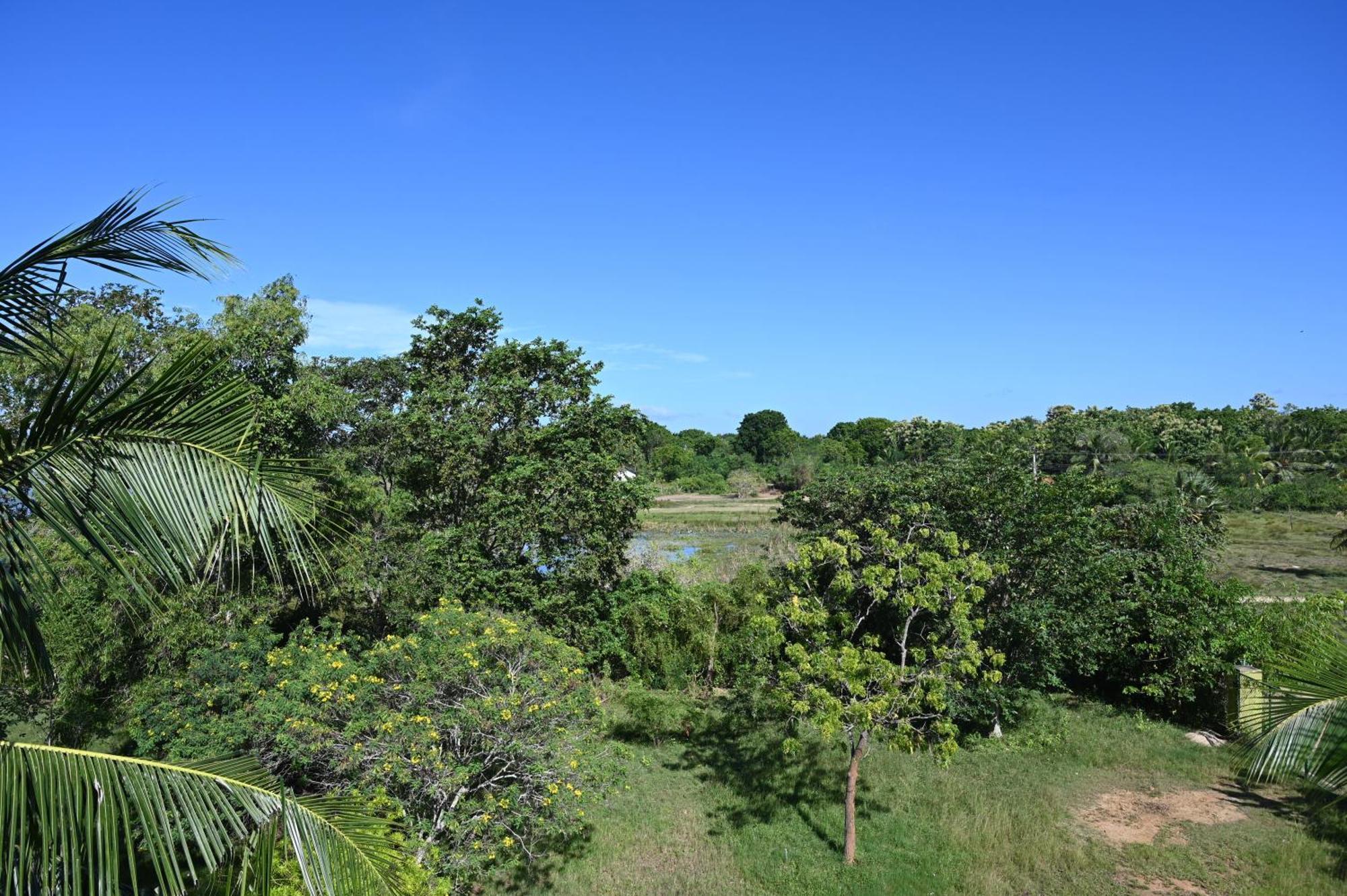 טיסמהרמה Breezy Lake מראה חיצוני תמונה