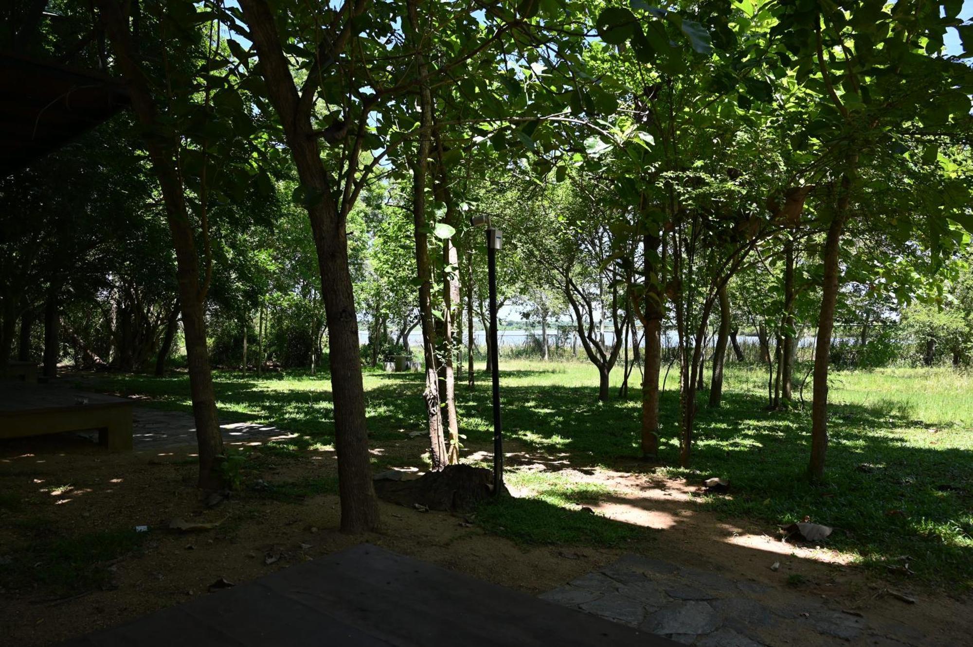 טיסמהרמה Breezy Lake מראה חיצוני תמונה